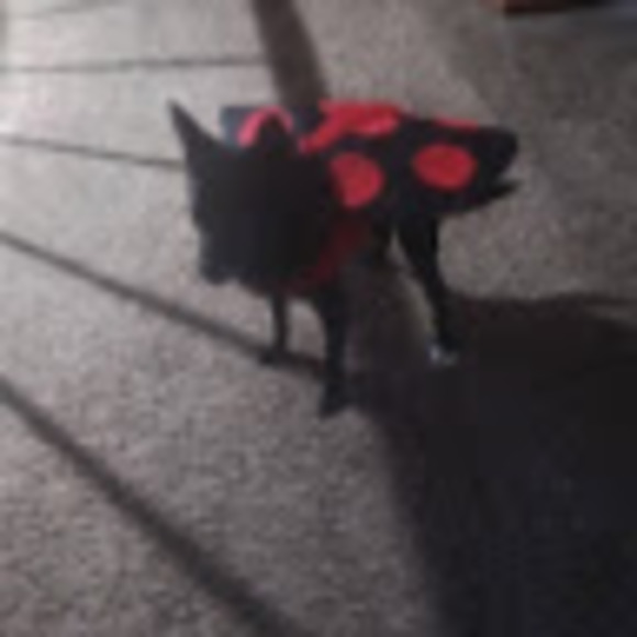 Meet your Posher, Brian - Picture 1 of 1